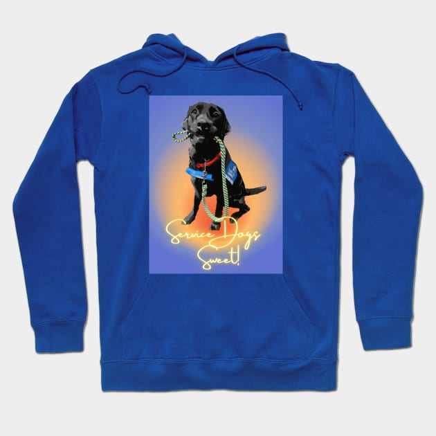 Sweet Black Lab Service Dog Hoodie by B C Designs